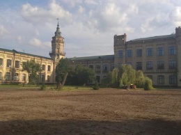 В парке КПИ срезали многолетние деревья (фото)