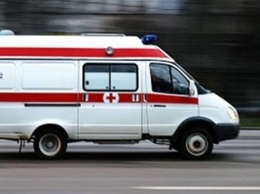 Во Львовской области в больницу попали двое мужчин из-за укуса змей