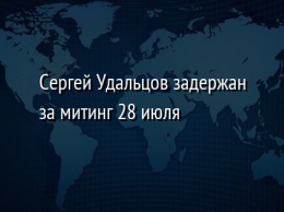 Сергей Удальцов задержан за митинг 28 июля