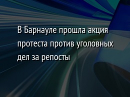 В Барнауле прошла акция протеста против уголовных дел за репосты