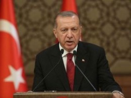Эрдоган подписал указ об увеличении ввозных пошлин на товары из США