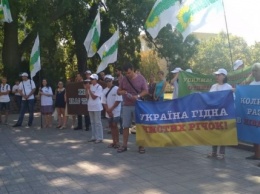 Вчера «зеленые» принесли под здание Николаевской облгосадминистрации мертвую рыбу