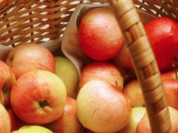 Яблочный Спас 2018: почему нельзя есть яблоки до Преображения Господнего