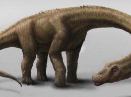 В Китае нашли огромное скопление останков динозавров юрского периода