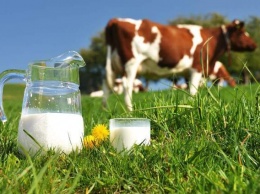 8 мифов о молоке, в которые пора перестать верить