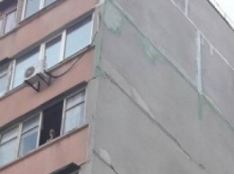 В Запорожье женщина выкинула собаку с 7-го этажа - живодерку увезла полиция