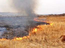 Под Харьковом горит трава