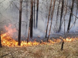 В горах над Ялтой замечено очередное возгорание