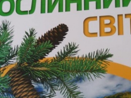 В Украине выпустили книгу, в которой Крым обозначен частью России