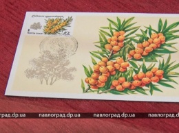 В Павлограде открылась выставка марок