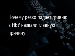 Почему резко падает гривня: в НБУ назвали главную причину