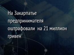 На Закарпатье предпринимателя оштрафовали на 21 миллион гривен