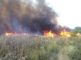 Во время сжигания сухостоя в Харьковской области погибла женщина