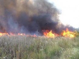 На Харьковщине во время выжигания сухостоя сгорела 77-летняя женщина