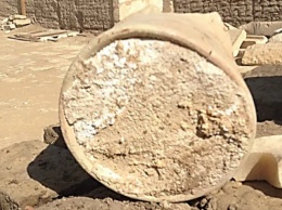 Самый древний в мире сыр, обнаруженный в древней гробнице, оказался смертельно опасен