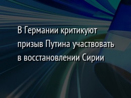 В Германии критикуют призыв Путина участвовать в восстановлении Сирии