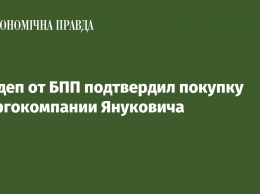 Нардеп от БПП подтвердил покупку энергокомпании Януковича