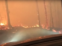 Американцы на авто спаслись от лесного пожара