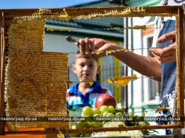 Яблочный Спас в Павлограде отмечают ярмаркой пасечников (ФОТО)