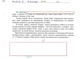 В «Центре защиты животных» рассказали, что не могут решить проблему со стаями собак на территории школ из-за «дерзких зоозащитников»