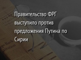 Правительство ФРГ выступило против предложения Путина по Сирии