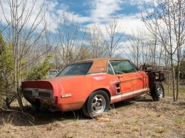 В США отыскали уникальный Ford Mustang, который был утерян полвека назад. Видео