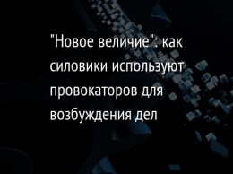 "Новое величие": как силовики используют провокаторов для возбуждения дел