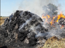 За минувшие сутки на Николаевщине огнем уничтожено 38,2 га открытых территорий
