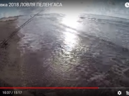 Популярный блогер снял ролик на запорожском курорте (ВИДЕО)