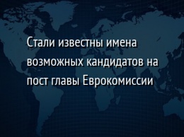 Стали известны имена возможных кандидатов на пост главы Еврокомиссии