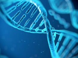 Ученые из «Сколково» изобрели бюджетный тест ДНК