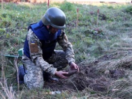 В Мелитополе пиротехники обезвредили 48 взрывоопасных предметов