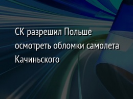 СК разрешил Польше осмотреть обломки самолета Качиньского