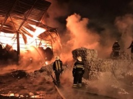 Под Харьковом вспыхнул пожар на заводе по переработке пластика (видео)