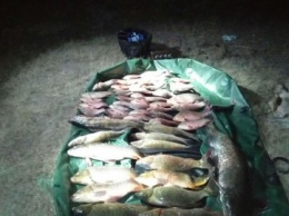 На Днепропетровщине рыбак-браконьер наловил рыбы на 7 тыс. грн