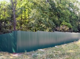 "Киевзеленстрой" разрешил застройщику спилить три гектара леса в парке