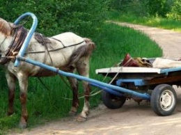 ДТП в Башкирии: Водитель погиб от удара бревна