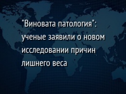 "Виновата патология": ученые заявили о новом исследовании причин лишнего веса