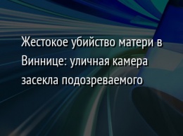 Жестокое убийство матери в Виннице: уличная камера засекла подозреваемого