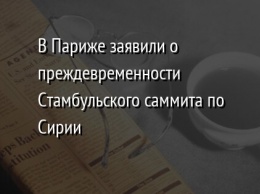 В Париже заявили о преждевременности Стамбульского саммита по Сирии