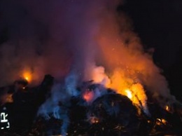 Грандиозный пожар под Киевом: весь Вышгород заволокло дымом