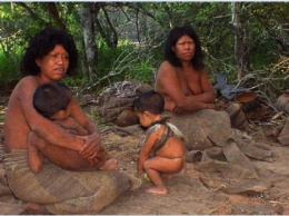 Дрон запечатлел ранее неизвестное племя в лесах Амазонки