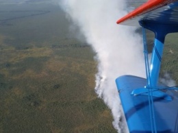 В Беларуси горят Ольманские болота