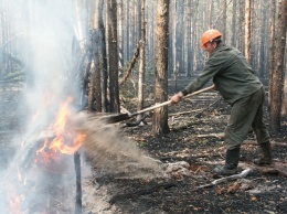 В День Независимости потребовалось 168 спасателей, чтобы потушить пожары на природе
