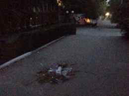 В Мелитополе неизвестные устроили ночные «гонки» на мусорном баке (фото)