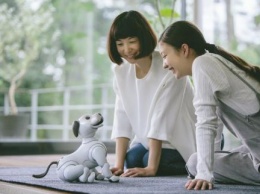 «Театр абсурда»: Sony заменила живого щенка на бездушного робота