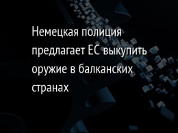 Немецкая полиция предлагает ЕС выкупить оружие в балканских странах