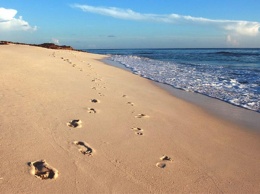 На запорожском курорте вора нашли по следам на песке