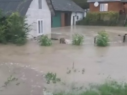 В Ивано-Франковской области мощный ливень привел к наводнению (видео)