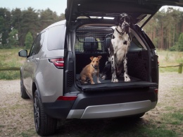 Land Rover представил набор опций для владельцев домашних животных